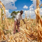 Imported Faiths Must Never Turn Africans Against Their Own People